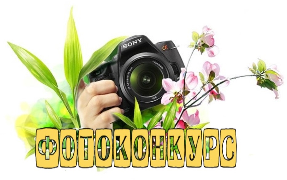 Картинки конкурс фотографий